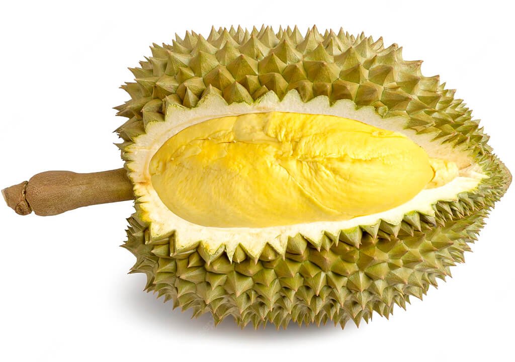 Organik Durian